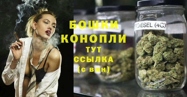apvp Богданович