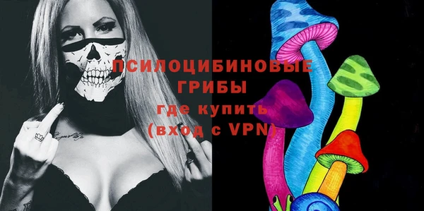 apvp Богданович